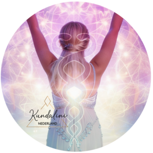 Online shop stap 4 | training stem af op je kundalini energie